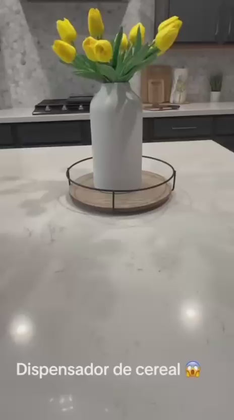 Dispensador de Alimentos Secos 2L